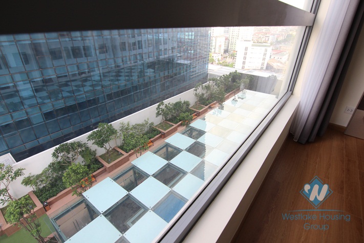 Nice and warm apartment for rent in Vinhomes Nguyen Chi Thanh, Dong Da district, Ha Noi